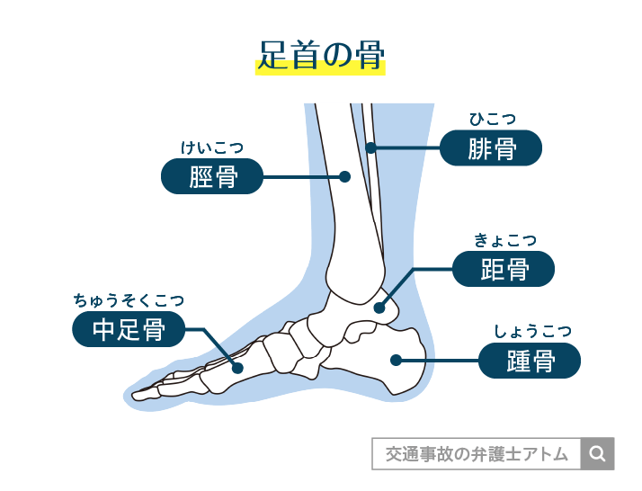 足首の骨