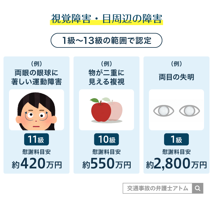 視覚障害・目周辺の障害