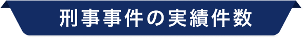 刑事事件の実績件数